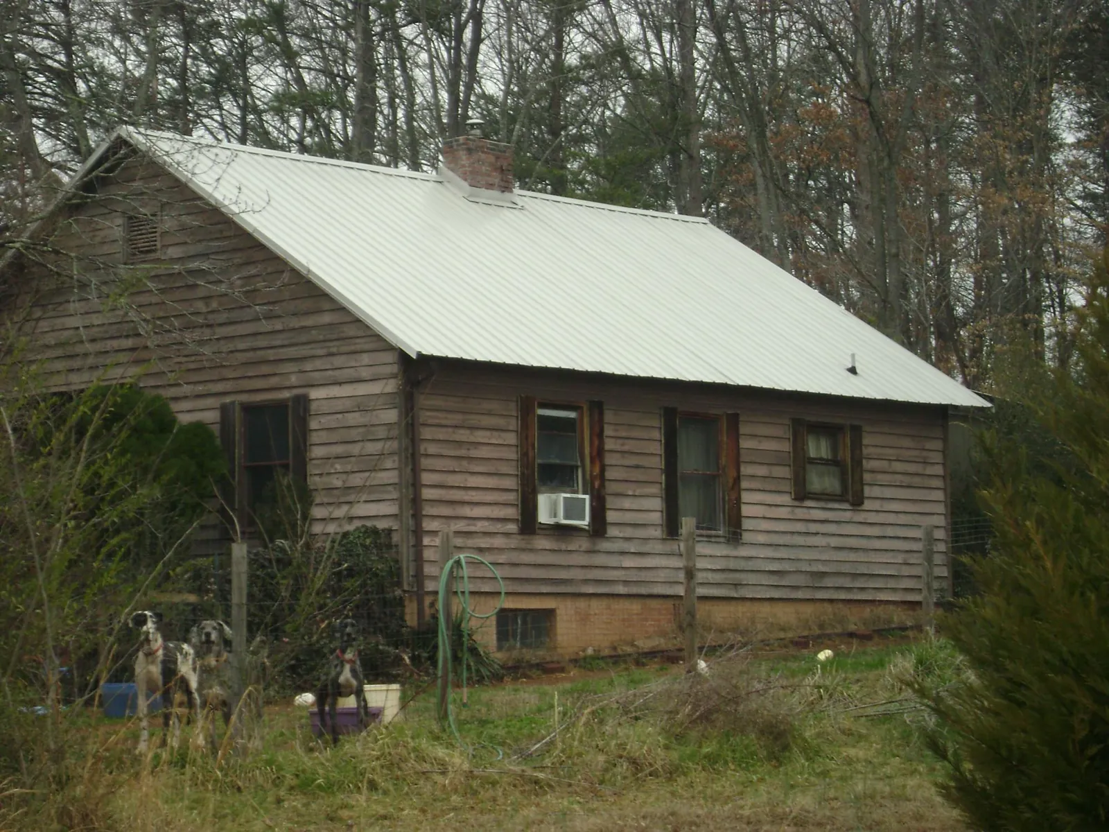 White metal roof on an old wood sided farmhouse, from a Asphalt Shingle Roof Repair job in Fountain